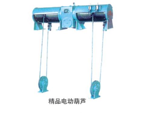 合肥雙吊點(diǎn)電動(dòng)葫蘆